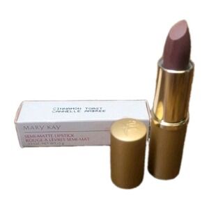 Mary Kay semi-matte lipstick .13 oz * Cinnamon Toast * 4535 NIB RARE & HTF‎
